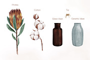 Watercolor dried flowers set, a Decorative Illustration by Maria Summer (Thumbnail 3 of 7)
