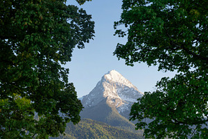 The Watzmann peak seen through trees