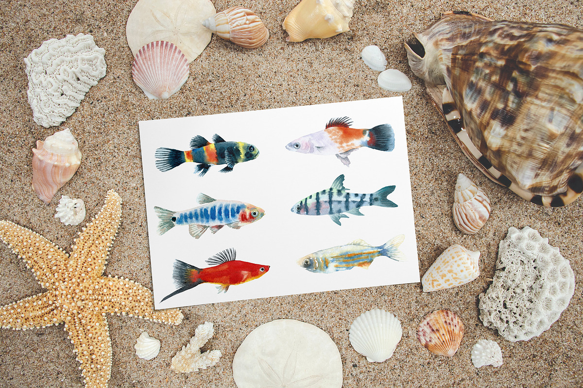 Aquarium Fishes Watercolor Clipart, an Animal Illustration by Catherine Wheel (Photo 3 of 10)