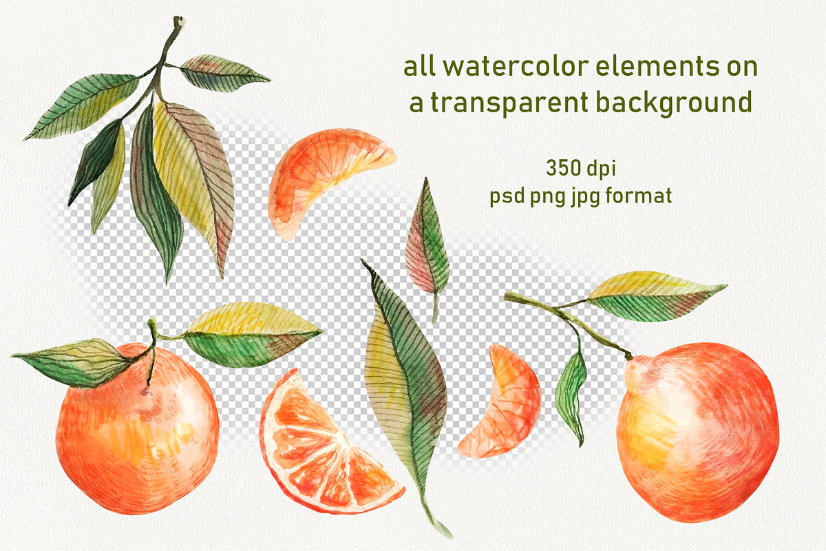 Watercolor Orange Fruit Clipart, a Food Illustration by Dina Guiter (Photo 4 of 10)
