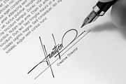 Luxodia Signature, a Script Font by Lemonthe (Thumbnail 9 of 14)