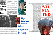 BD Megalona - Small Pack, a Serif Font by Balibilly Design (Thumbnail 10 of 16)