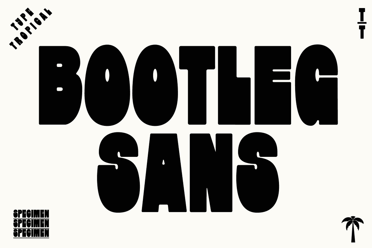 Display Font Collection, a Slab Serif Font by Tropical Type (Photo 27 of 46)