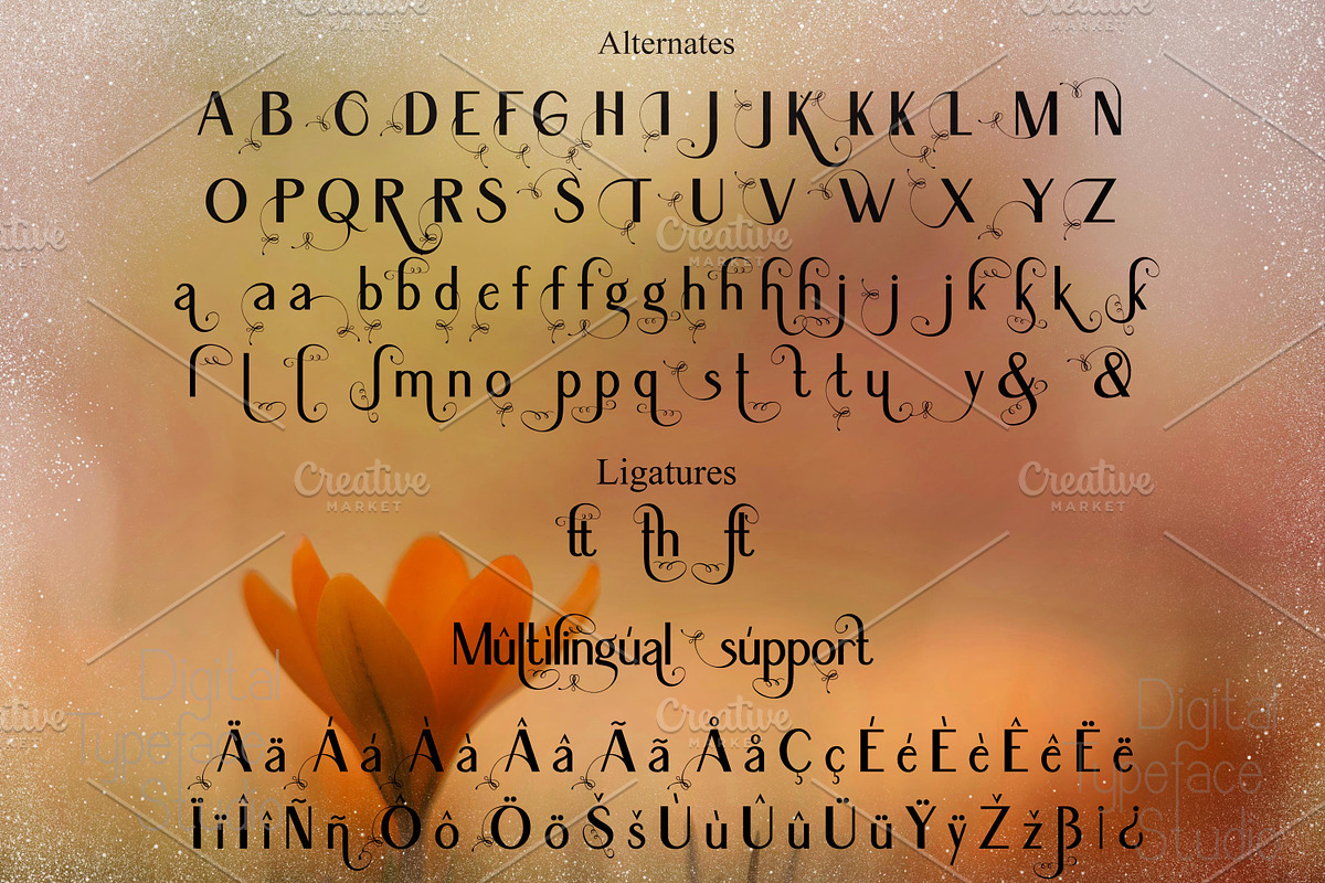 Sonatha, a Serif Font by Digital Typeface Studio (Photo 3 of 6)