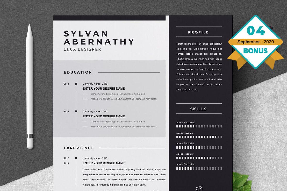 Resume/CV Bundle | 200+ for $29, a Resume Template by ResumeInventor (Photo 135 of 207)