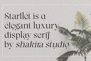 Starllet - Modern Serif Font