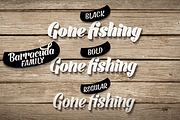 Barracuda, a Script Font by Fenotype (Thumbnail 4 of 5)