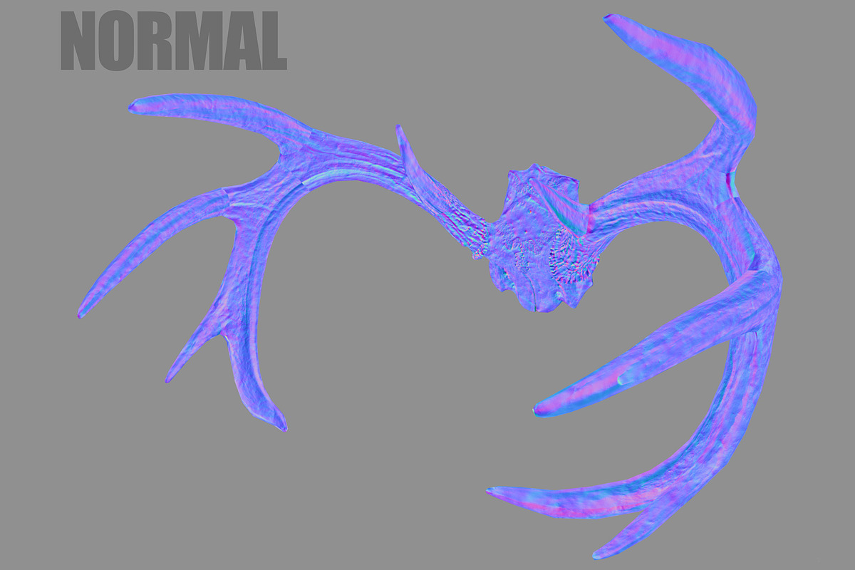 Deer Horns, an Animal 3D Model by Beatheart Creative Studio (Photo 6 of 17)