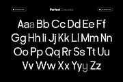 Perfect Corporate Sans Serif Family, a Sans Serif Font by Mahesans Co (Thumbnail 7 of 10)