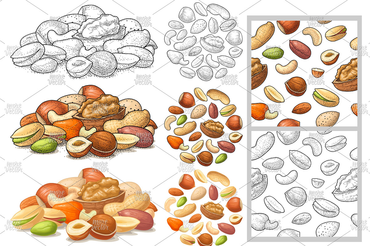 Pattern and stack nut engrave, icon, a Food Illustration by MoreVector (Photo 4 of 4)