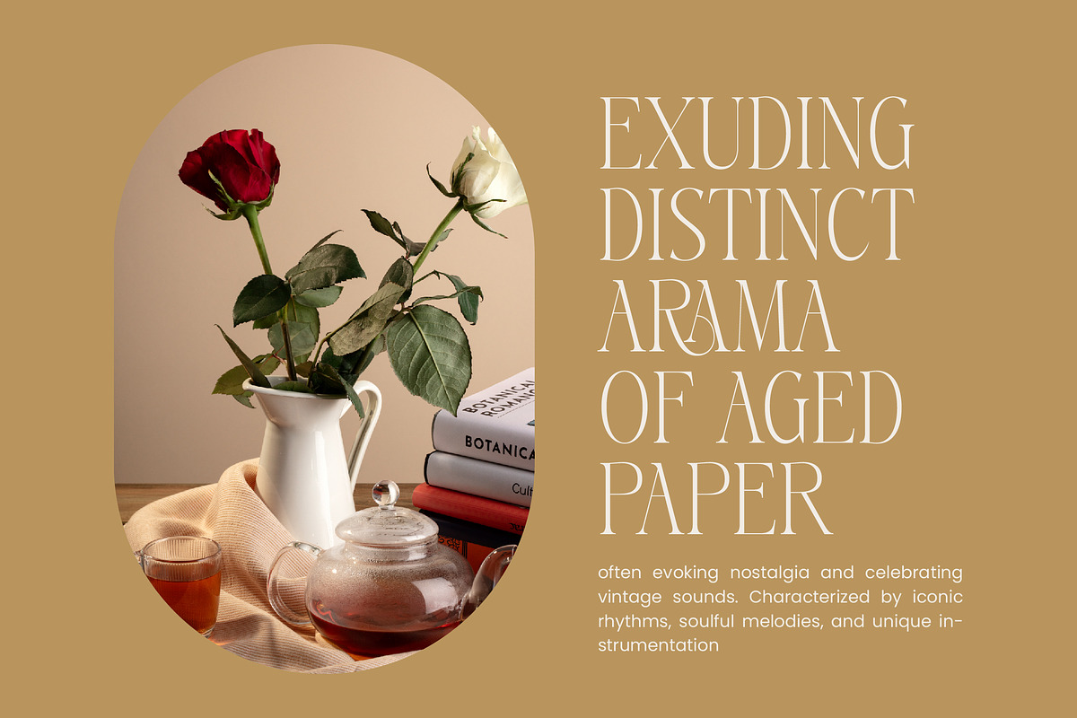 Aska Modern Elegant Serif Font, a Serif Font by timelesstype.co (Photo 14 of 20)