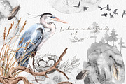 Watercolor Nature and Birds set, an Illustration by Alamella (Thumbnail 1 of 13)