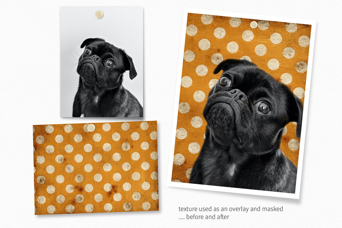 Grungy Fall Polka Dots, a Decorative Illustration by rileyBgraphics (Photo 4 of 7)
