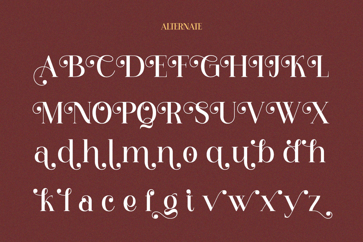 Holybirth - Modern Aesthetic Serif, a Serif Font by Qweera Studio (Photo 9 of 12)