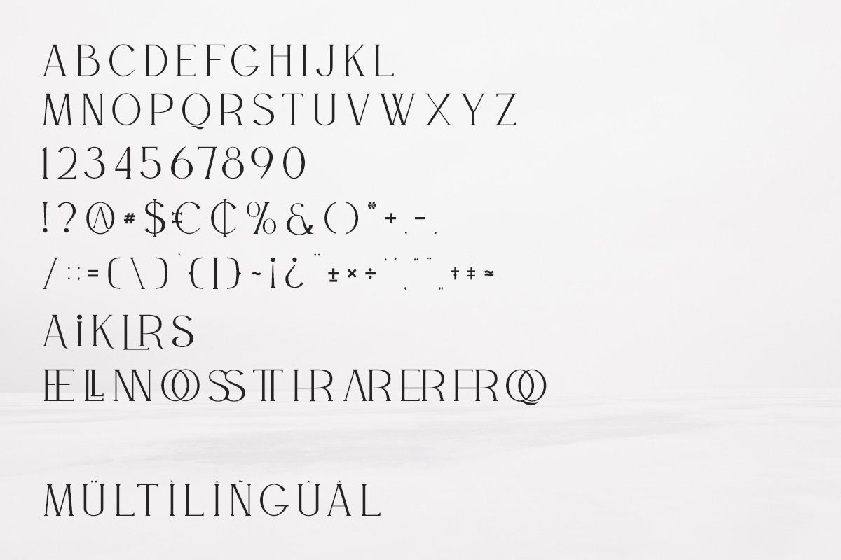 WILLSON - Clean Serif, a Serif Font by din-studio.com (Photo 9 of 10)