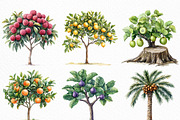 Watercolor Fruit Trees Clipart, an Illustration by Craft Nest (Thumbnail 3 of 6)