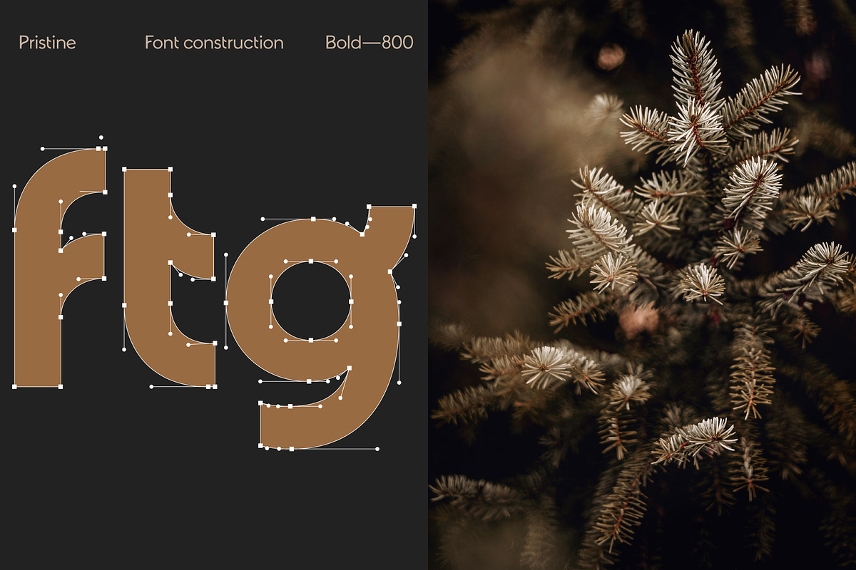 Pristine - Elegant Sans Serif, a Sans Serif Font by Concepta Digital (Photo 16 of 16)