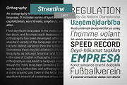 Streetline – 4 fonts, a Sans Serif Font by Green Type (Thumbnail 4 of 9)