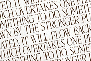 Harfterd Modern Serif Font, a Serif Font by Letterena Studios (Thumbnail 11 of 15)