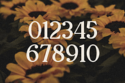 Oranges - Modern Retro Serif, a Serif Font by RockboyStd (Thumbnail 10 of 12)
