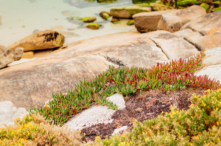Scenic view of the coastline, a Nature Photo by rubenchase