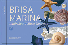 BRISA MARINA Seashells & Collage by  in Graphics