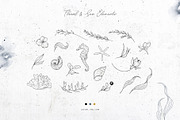 Mellifluous. Sea & Floral Graphics, a Texture Illustration by NiKO (Thumbnail 8 of 20)