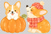 Autumn Corgi Clipart Fall Animal PNG, an Animal Illustration by SugarCloudStudioArt (Thumbnail 6 of 6)