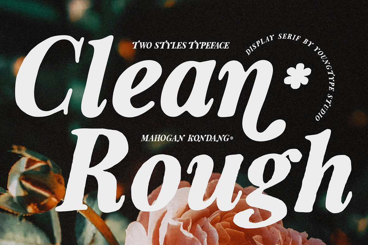 Mahogan Kondang, a Serif Font by Youngtype.Std (Photo 9 of 10)