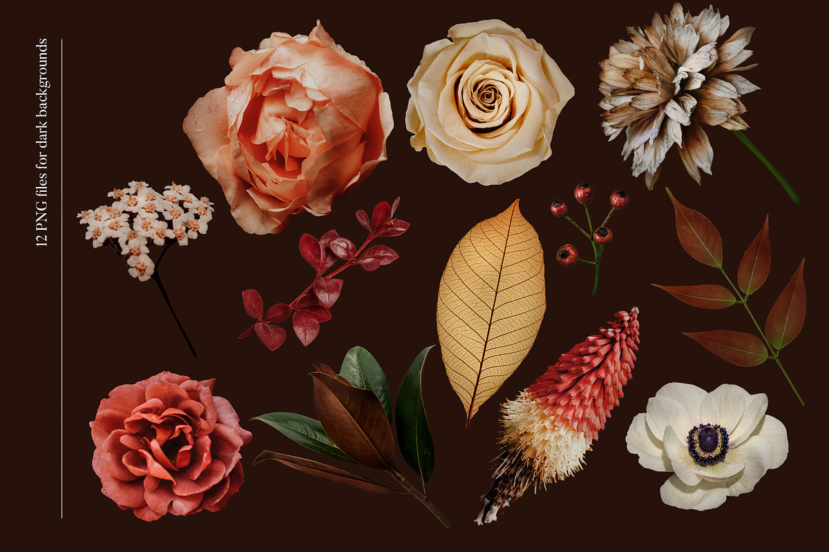 Isolated real flowers clipart set, an Object Graphic by The Graphic Parade (Photo 5 of 14)
