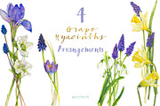 Grape Hyacinths_Blue Spring, an Illustration by watercolorwild.graphics (Thumbnail 2 of 8)