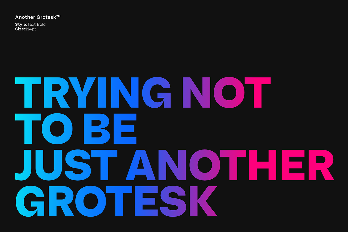 Another Grotesk Text Family, a Sans Serif Font by Bukva™ Type Foundry (Photo 2 of 15)