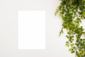 Mockup, Modern, Clean, Classy