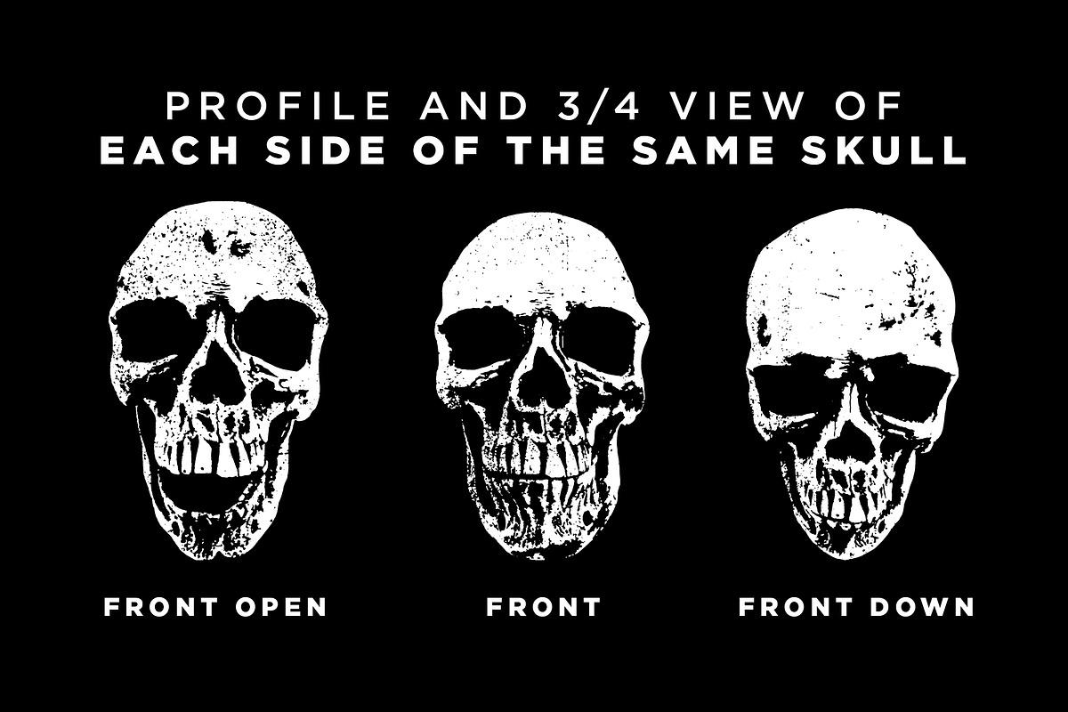 SKULLS, an Illustration by 1126artstudio (Photo 2 of 4)