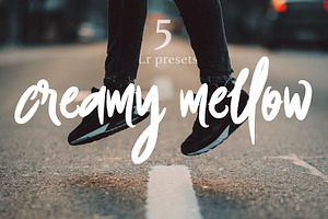 5 Moody Presets - Creamy Mellow