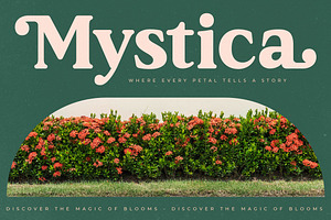 Garden Rostera Modern Vintage Serif