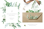 Scent of Eucalyptus - Graphic Set, an Illustration by studioequinox (Thumbnail 15 of 21)
