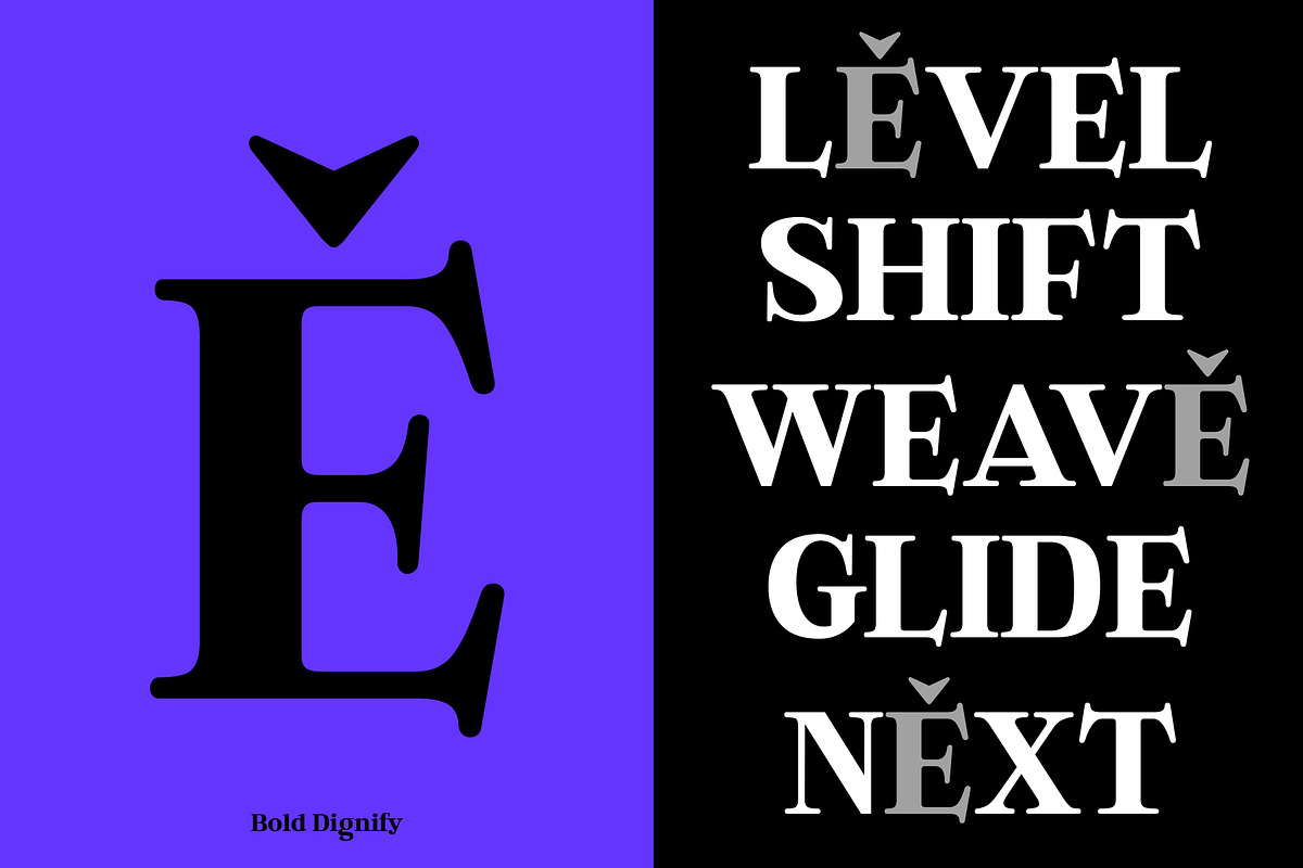 Bold Dignify - Minimalist Calm Serif, a Serif Font by Fridaytype (Photo 3 of 12)