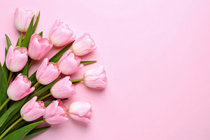 Pink Tulips on Pastel Background, an Abstract Photo by Davizro's Market