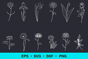 Birth Flowers Clip Art | Vector File, a Decorative Illustration by Elena Nesterova (Thumbnail 2 of 4)