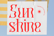 Biological Crossroads - Psychedelic, a Serif Font by 177Studio (Thumbnail 2 of 8)