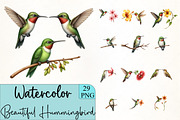 Beautiful Hummingbird Clipart, an Illustration by CrexoraLab (Thumbnail 4 of 5)