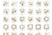 Watercolor Magnolia Flowers Set, a Decorative Illustration by GiraffeCreative (Thumbnail 7 of 8)