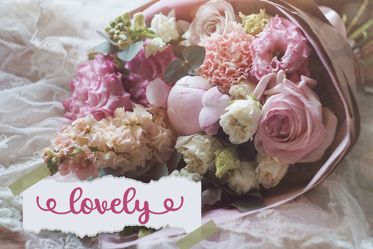 Allexa | Script Font, a Script Font by Suntype | Sunshine Std (Photo 10 of 10)