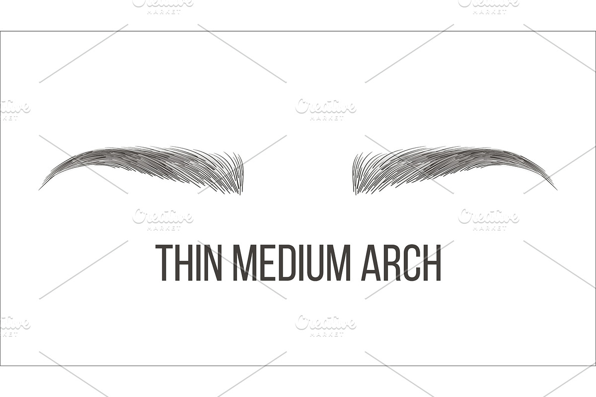 Thin Medium Arch Brows Shape Vector, a Texture Illustration by pikepicture