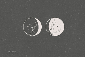 MOON PHASES / Vector Illustration