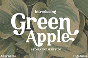 Green Apple, a Serif Font by Aditastudios (Thumbnail 1 of 6)