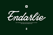 Endarlie, a Script Font by ngene (Thumbnail 1 of 9)