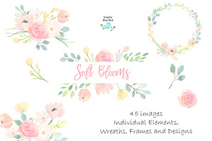 Soft Pink Flowers Watercolor Clipart