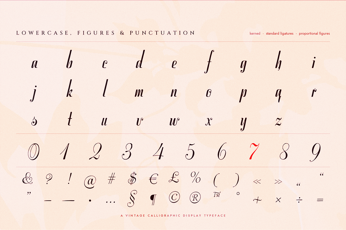 Stradivelle - Script Font, a Script Font by Lilithcollageart (Photo 8 of 10)